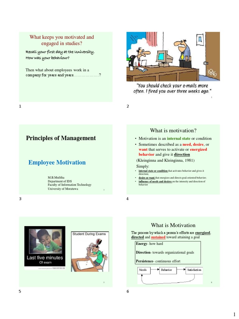 Understanding Employee Motivation | PDF | Motivational | Motivation