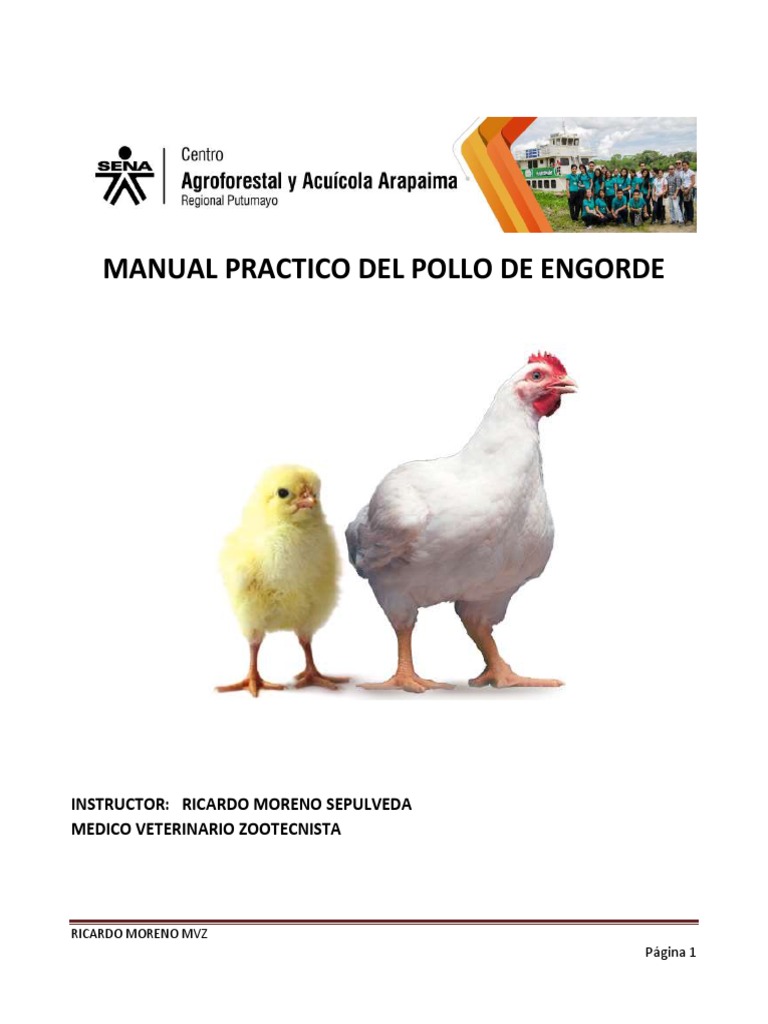 Viruta de Madera 15kg - Higiene en Gallinas