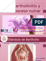Bartholinitis y Absceso Vulvar