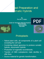 somatic hybrids