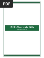 Excel Shortcuts Bible