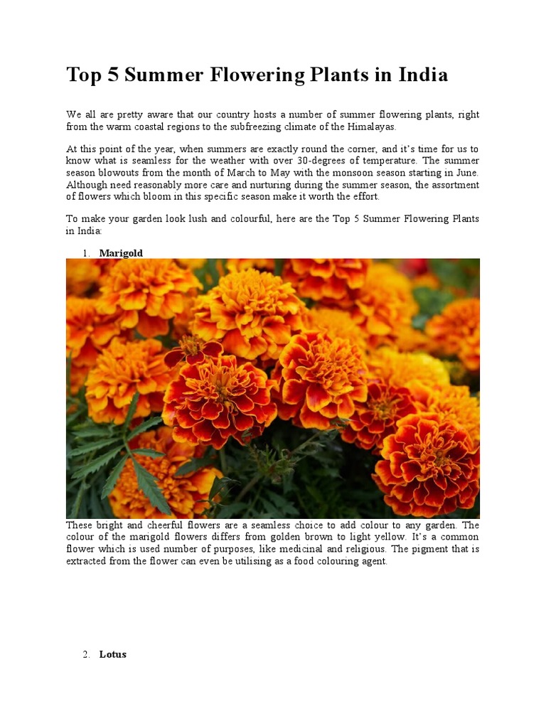 Top 5 Summer Flowering Plants in India PDF Flowers Plants