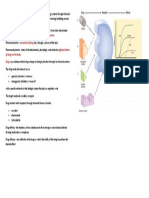 Pharmacokinetics Pharmacodynamics. Movement of Drug Effects/actions of Drugs On The Body