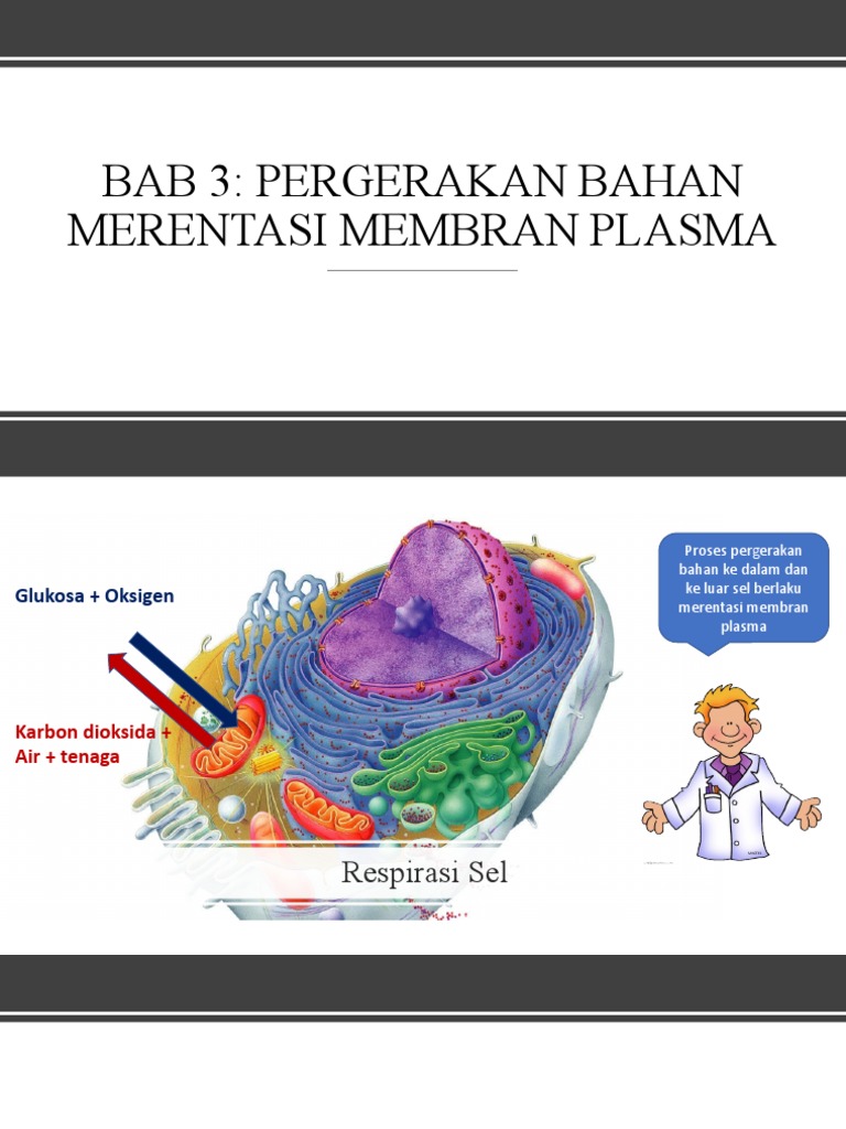 3.1 Struktur Membran Plasma | PDF