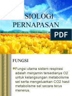 Fisiologi Pernapasan