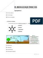 Ciclos Biogeoquímicos