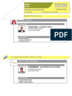 Precandidatos Concejales San Lorenzo