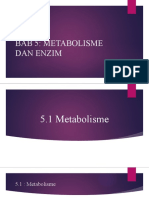 5.1 Metabolisme