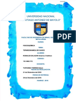 PDF Informe de Fisicoquimica Termodinamica de Gases DD