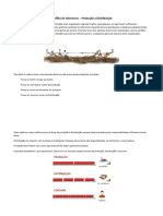 Conflito de Interesses Produção x Distribuição