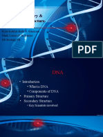 DNA - Primary & Secondary Structure.: Kyla Kuhlyn Ruth S. Asuncion Mark Louies P. Brillantes BS Biology 3B