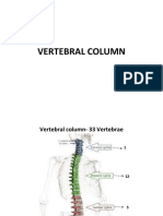 9VERTEBRAL_COLUMN