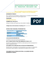 Ficha Tecnica Para Elab. Exp. Tecnicos Enapip Virtual 2020