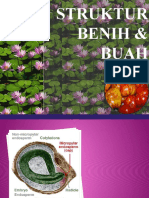 3-Struktur Benih & Buah