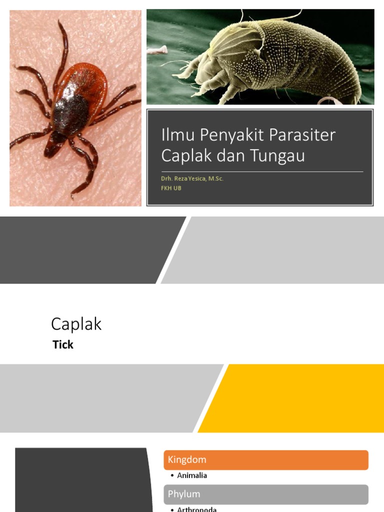 Ilmu Penyakit Parasiter Caplak Dan Tungau-Ry | PDF | Griya & Taman