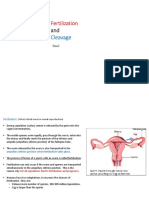 Fertilization & Cleavage PDF.'''''