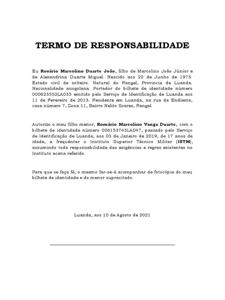 Termo De Responsabilidade Pdf