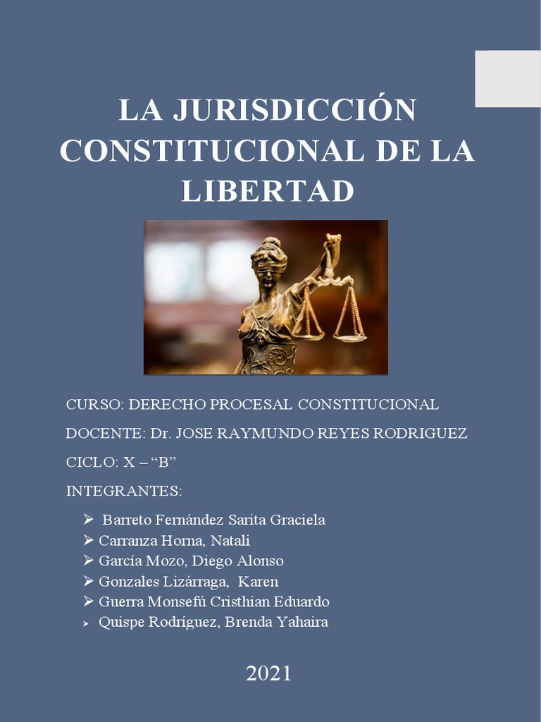 Jurisdicción Constitucional de la Libertad | PDF | Derecho ...