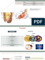 Enfermedad de Crohn