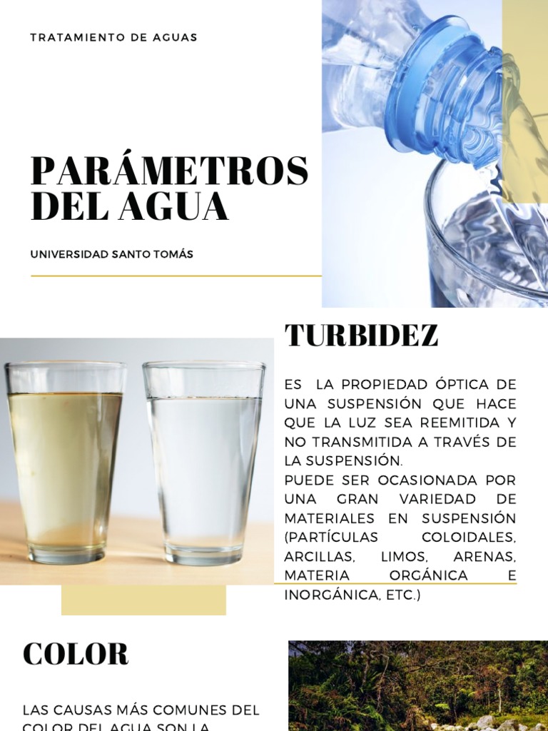 Parámetros del Agua y su Tratamiento | PDF