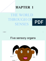 Chapter 1 Sensory Organ