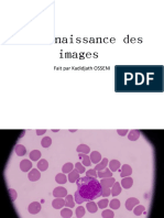 Reconnaissance pdf kadi