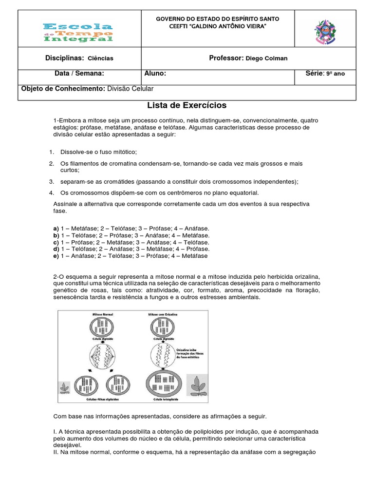 Exercícios sobre Divisão Celular 9º Ano | PDF | Mitose | Meiose