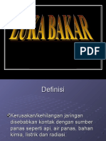 Ok Luka Bakar