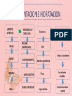 Alimentación e hidratación saludable