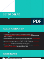 Sistem Pencernaan