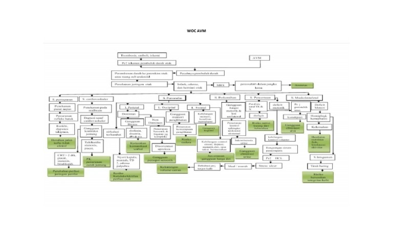 Woc Avm | PDF