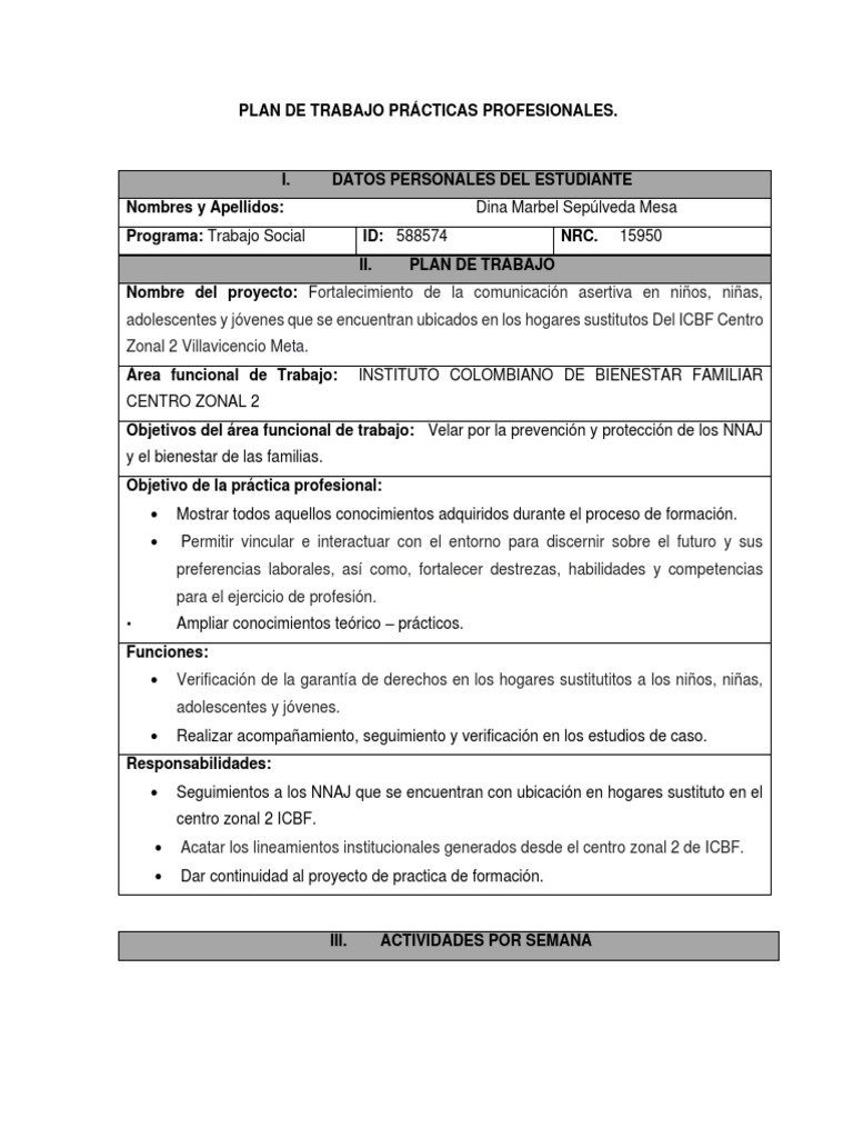 plan-de-trabajo-pr-cticas-profesionales-pdf
