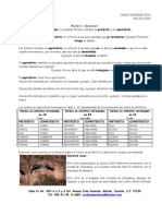 Download Preterito y copreterito by Yasmin Pech SN51952233 doc pdf