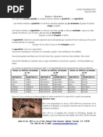 Download Preterito y copreterito by Yasmin Pech SN51952233 doc pdf