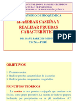 6 Elaborar Caseína y Realizar Pruebas Características