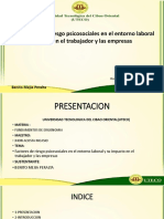 Presentacion Sobre Riesgos Psicosociales, Fundamentos de Ergonomia.