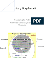 Clase 3 - Genética y Bioquímica II