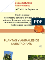 Comparar Plantas 07 Septiembre