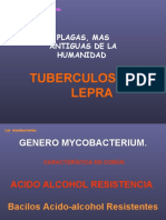 Tuberculosis 07