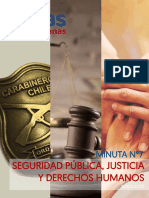 Seguridad, Justicia y DDHH