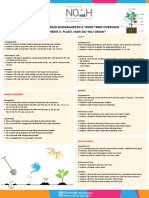 Ay 2019-2020 Kindergarten A Third Term Overview Theme 5: Plant, How Do You Grow?