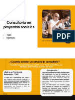 Consultoría en Proyectos Sociales: - TDR - Ejemplo