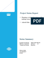 Project Status Report