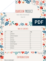 Misha 5S1 Herbarium