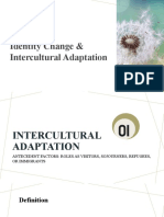 Identity Change & Intercultural Adaptation