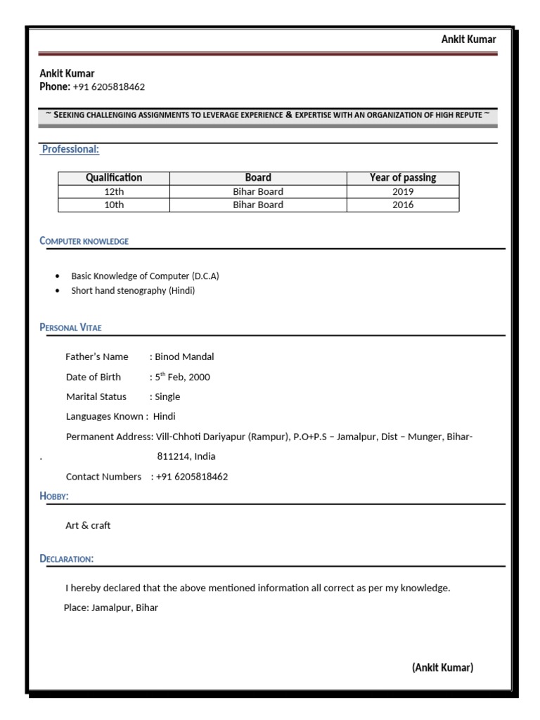 Ankit Kumar's Professional Resume | PDF