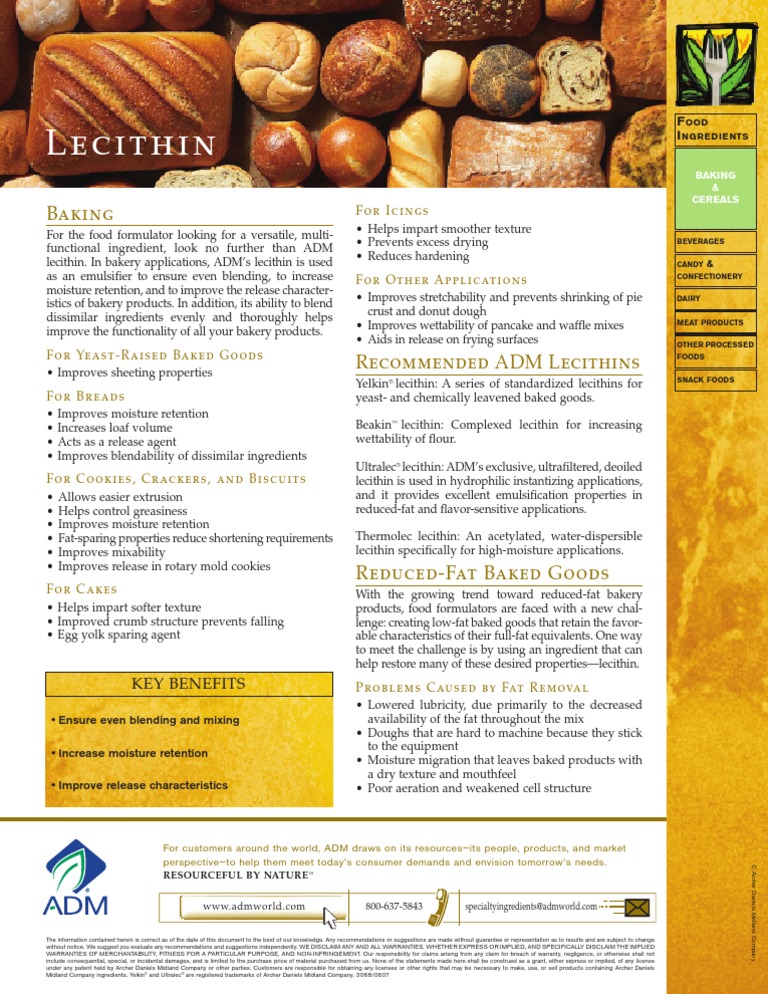 ADM Lecithin For Baking PDF Foods Food And Drink