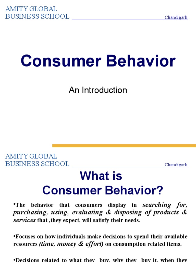 Understanding Consumer Behavior Basics | PDF | Market Segmentation ...