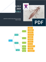 Entomologi (Pthirapthera) (Kutu) (Lice)