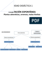 Presentacio UD1 Vegetacion Espontanea (Sanidad Vegetal)